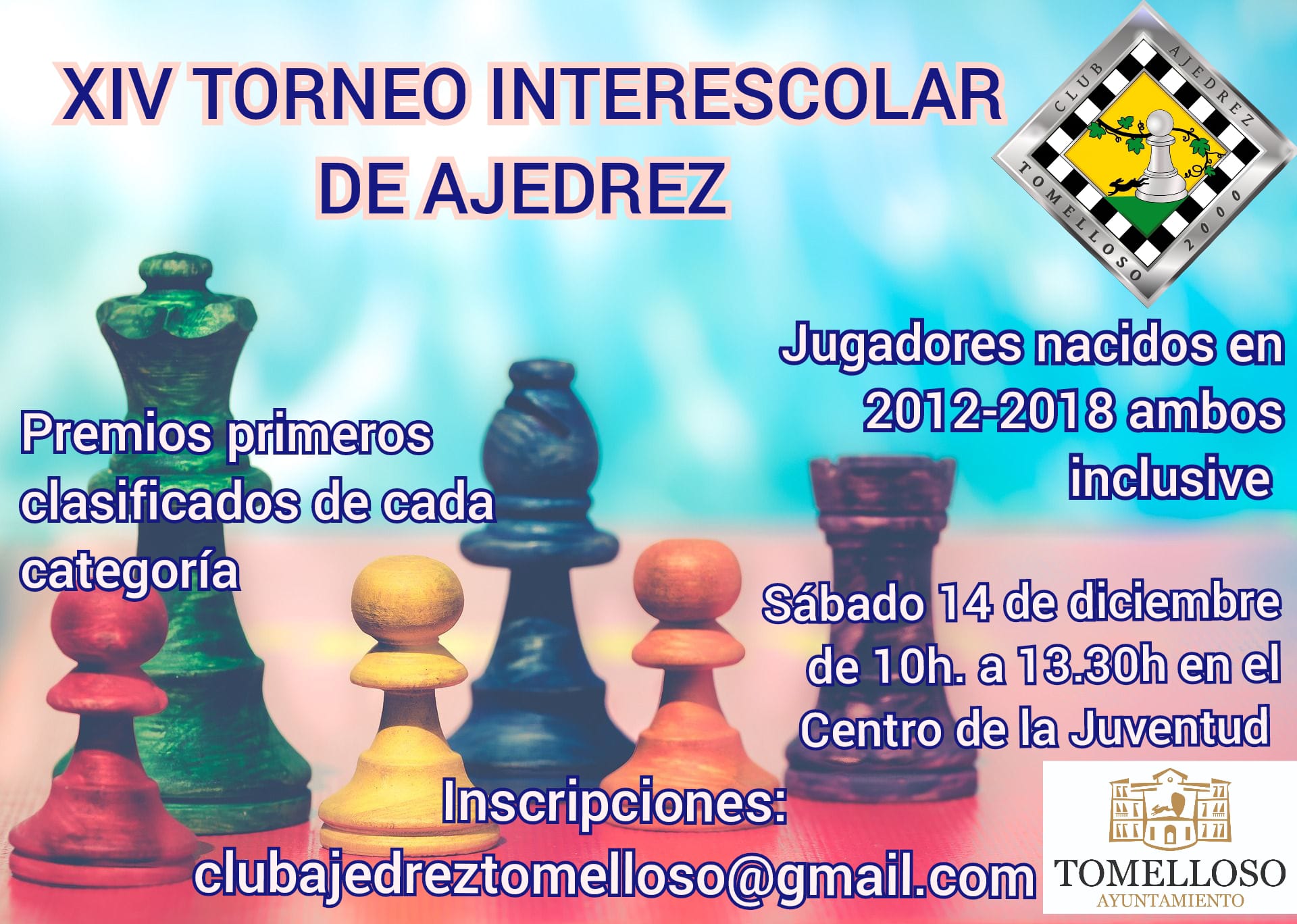 Cartel XIV torneo interescolar